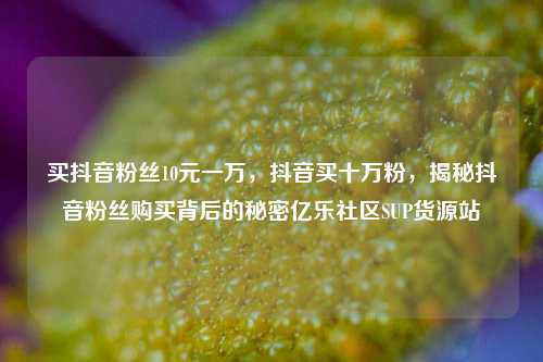 买抖音粉丝10元一万，抖音买十万粉	，揭秘抖音粉丝购买背后的秘密亿乐社区SUP货源站  第1张