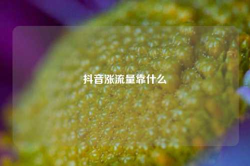 抖音涨流量靠什么  第1张