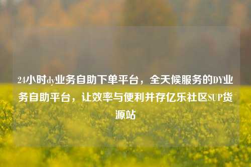 24小时dy业务自助下单平台	，全天候服务的DY业务自助平台，让效率与便利并存亿乐社区SUP货源站  第1张