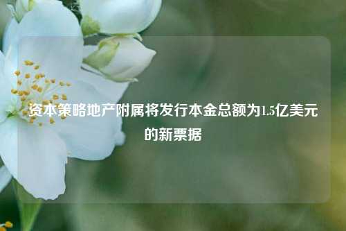 资本策略地产附属将发行本金总额为1.5亿美元的新票据  第1张