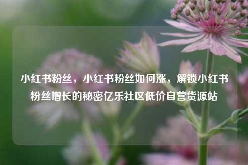 小红书粉丝，小红书粉丝如何涨	，解锁小红书粉丝增长的秘密亿乐社区低价自营货源站  第1张