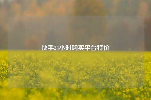 快手24小时购买平台特价  第1张