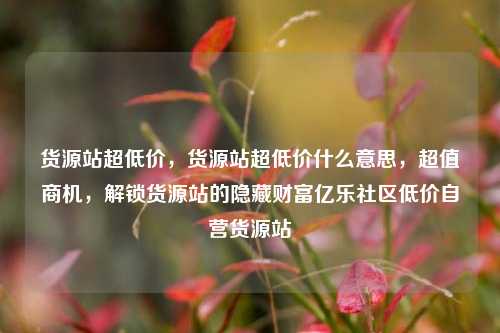 货源站超低价	，货源站超低价什么意思，超值商机，解锁货源站的隐藏财富亿乐社区低价自营货源站  第1张