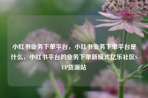 小红书业务下单平台	，小红书业务下单平台是什么，小红书平台的业务下单新模式亿乐社区SUP货源站  第1张