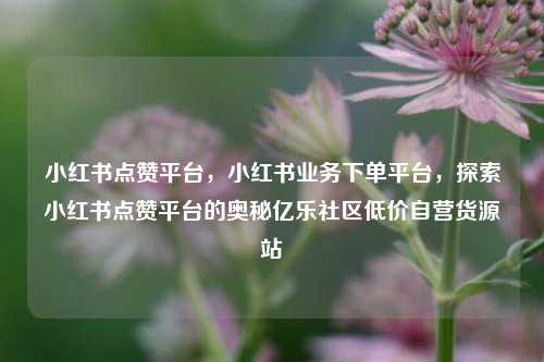 小红书点赞平台，小红书业务下单平台	，探索小红书点赞平台的奥秘亿乐社区低价自营货源站  第1张