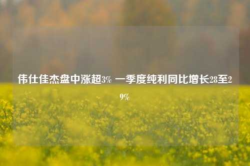 伟仕佳杰盘中涨超3% 一季度纯利同比增长28至29%  第1张