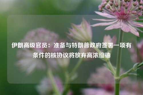 伊朗高级官员：准备与特朗普政府签署一项有条件的核协议将放弃高浓缩铀  第1张