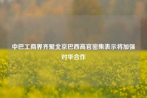 中巴工商界齐聚北京巴西高官密集表示将加强对华合作  第1张