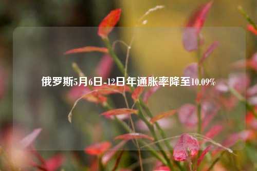 俄罗斯5月6日-12日年通胀率降至10.09%  第1张