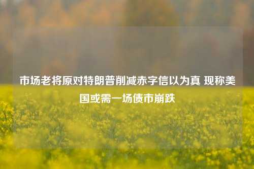市场老将原对特朗普削减赤字信以为真 现称美国或需一场债市崩跌  第1张