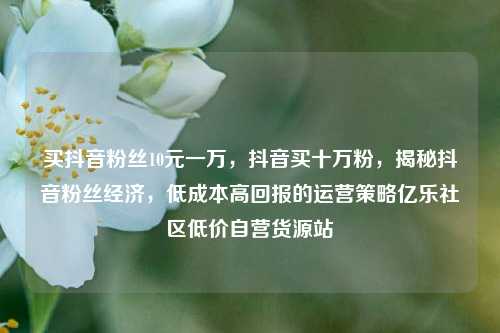 买抖音粉丝10元一万，抖音买十万粉，揭秘抖音粉丝经济	，低成本高回报的运营策略亿乐社区低价自营货源站  第1张