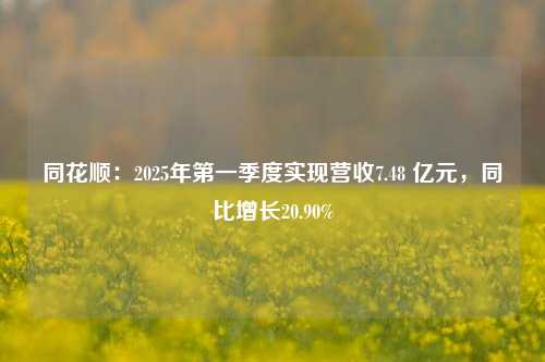 同花顺：2025年第一季度实现营收7.48 亿元，同比增长20.90%  第1张