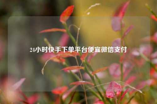 24小时快手下单平台便宜微信支付  第1张