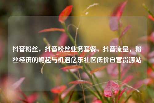抖音粉丝，抖音粉丝业务套餐	，抖音流量，粉丝经济的崛起与机遇亿乐社区低价自营货源站  第1张