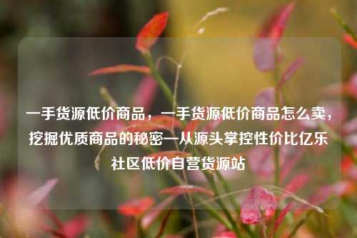 一手货源低价商品，一手货源低价商品怎么卖，挖掘优质商品的秘密—从源头掌控性价比亿乐社区低价自营货源站  第1张