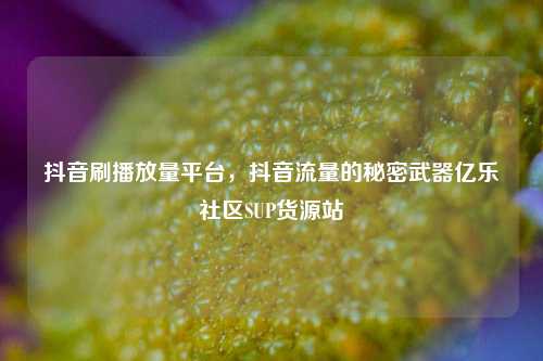 抖音刷播放量平台，抖音流量的秘密武器亿乐社区SUP货源站  第1张