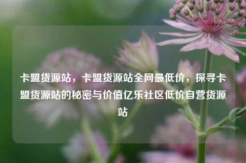 卡盟货源站，卡盟货源站全网最低价，探寻卡盟货源站的秘密与价值亿乐社区低价自营货源站  第1张