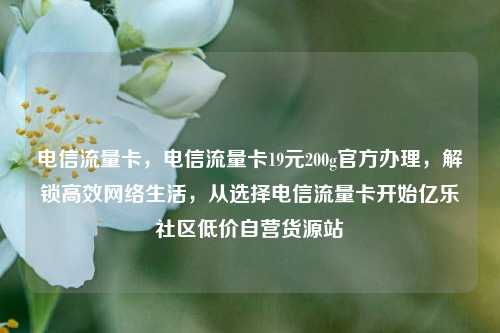 电信流量卡，电信流量卡19元200g官方办理	，解锁高效网络生活，从选择电信流量卡开始亿乐社区低价自营货源站  第1张