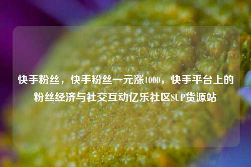 快手粉丝，快手粉丝一元涨1000，快手平台上的粉丝经济与社交互动亿乐社区SUP货源站  第1张