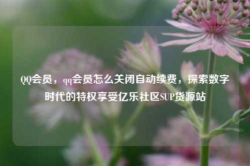 QQ会员，qq会员怎么关闭自动续费，探索数字时代的特权享受亿乐社区SUP货源站  第1张
