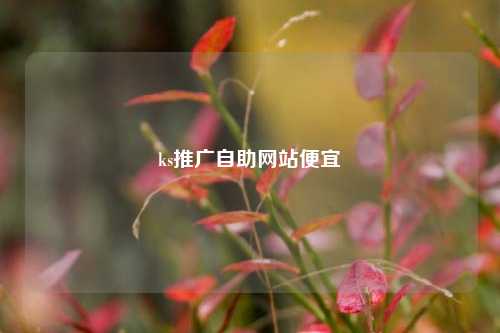 ks推广自助网站便宜  第1张