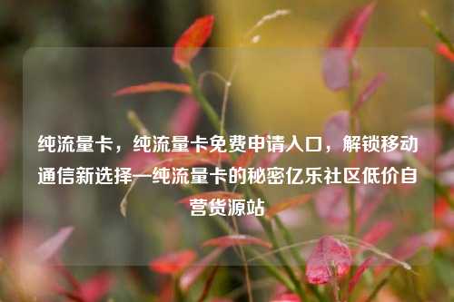纯流量卡，纯流量卡免费申请入口，解锁移动通信新选择—纯流量卡的秘密亿乐社区低价自营货源站  第1张