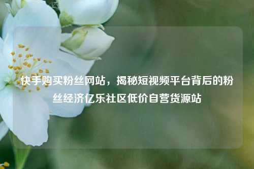 快手购买粉丝网站	，揭秘短视频平台背后的粉丝经济亿乐社区低价自营货源站  第1张