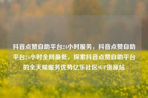 抖音点赞自助平台24小时服务，抖音点赞自助平台24小时全网最低	，探索抖音点赞自助平台的全天候服务优势亿乐社区SUP货源站  第1张