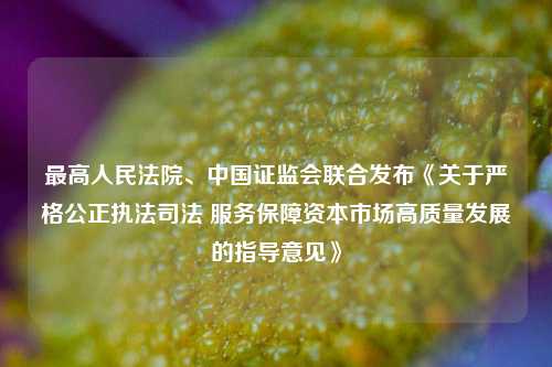 最高人民法院、中国证监会联合发布《关于严格公正执法司法 服务保障资本市场高质量发展的指导意见》  第1张
