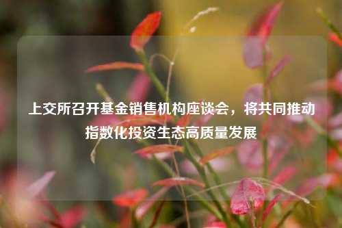 上交所召开基金销售机构座谈会，将共同推动指数化投资生态高质量发展  第1张