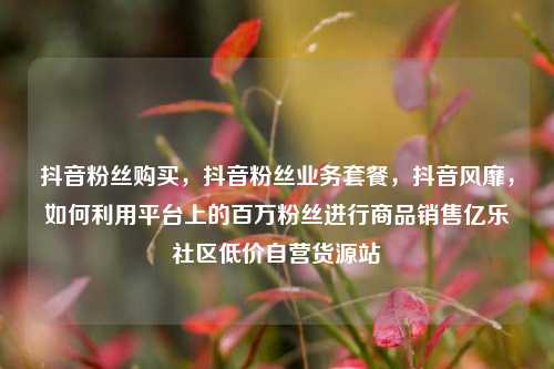 抖音粉丝购买，抖音粉丝业务套餐，抖音风靡	，如何利用平台上的百万粉丝进行商品销售亿乐社区低价自营货源站  第1张