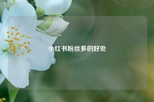 小红书粉丝多的好处  第1张