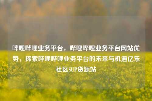 哔哩哔哩业务平台，哔哩哔哩业务平台网站优势，探索哔哩哔哩业务平台的未来与机遇亿乐社区SUP货源站  第1张