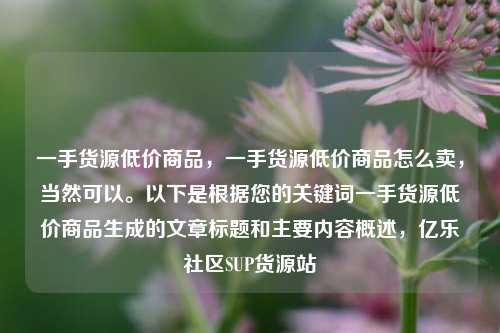 一手货源低价商品，一手货源低价商品怎么卖	，当然可以	。以下是根据您的关键词一手货源低价商品生成的文章标题和主要内容概述，亿乐社区SUP货源站  第1张