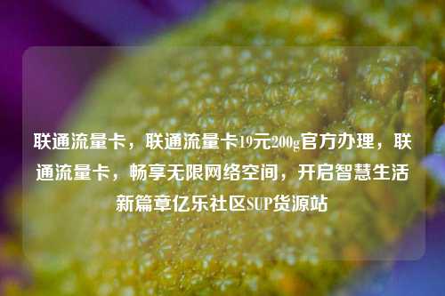 联通流量卡，联通流量卡19元200g官方办理，联通流量卡，畅享无限网络空间，开启智慧生活新篇章亿乐社区SUP货源站  第1张