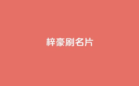 梓豪刷名片,刷黑钻卡盟 - 拼多多卡盟自助下单服务 pdd砍一刀  第1张