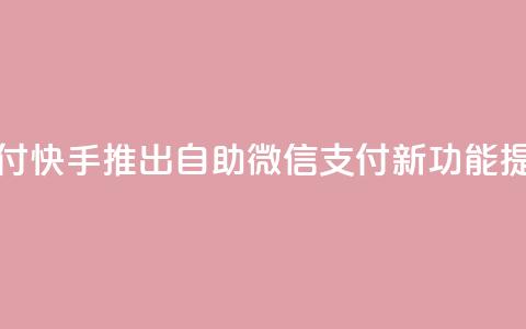 快手赞自助微信支付 - 快手推出自助微信支付新功能，提升用户体验~  第1张