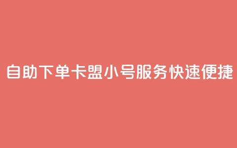 自助下单卡盟小号服务快速便捷  第1张