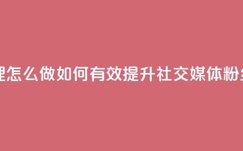 刷粉网站代理怎么做(如何有效提升社交媒体粉丝数量)  第1张