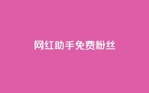 网红助手免费粉丝 - 网红助手助你免费获取更多粉丝技巧！  第1张