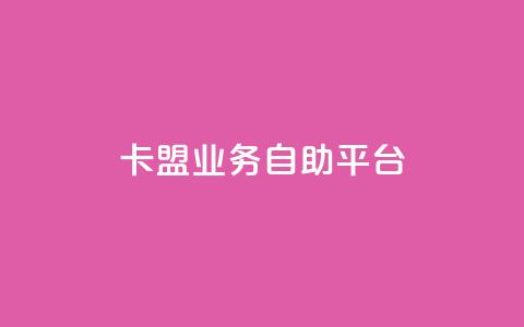 卡盟业务自助平台 - 全新卡盟自助服务平台上线助力业务便捷管理。  第1张
