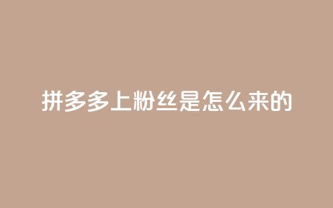 拼多多上粉丝是怎么来的 - 拼多多是如何吸引粉丝的?~ 第1张 拼多多上粉丝是怎么来的 - 拼多多是如何吸引粉丝的?~ 第1张