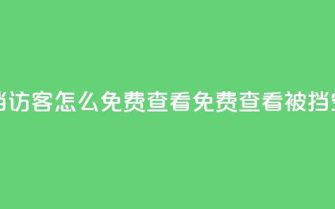 qq空间被挡访客怎么免费查看(免费查看被挡QQ空间访客) 第1张 qq空间被挡访客怎么免费查看(免费查看被挡QQ空间访客) 第1张