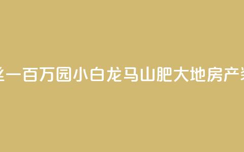 快手粉丝一百万0.01园小白龙马山肥大地房产装修网站,快手粉丝都是老头粉怎么办 - 抖音秒刷最低网站 ds抖音粉  第1张