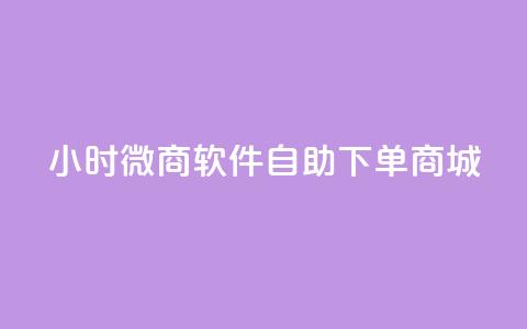 24小时微商软件自助下单商城 - 一天内轻松购物，体验自助下单的微商软件商城~  第1张