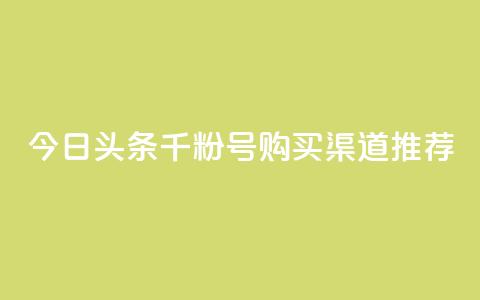 今日头条千粉号购买渠道推荐  第1张