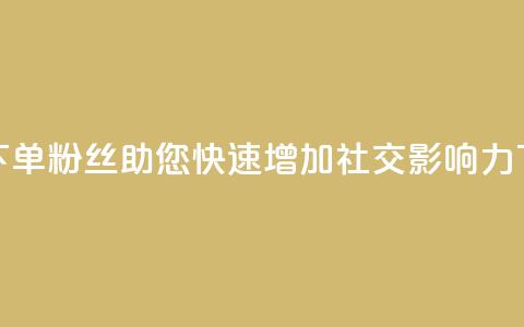 低价下单粉丝，助您快速增加社交影响力  第1张