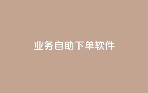 dy业务自助下单软件 - 快手一块钱100个  第1张