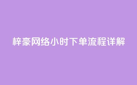 梓豪网络24小时下单流程详解,抖音全网老马最低价下单平台 - ks自助下单服务平台秒到帐 快手1000个赞播放量  第1张