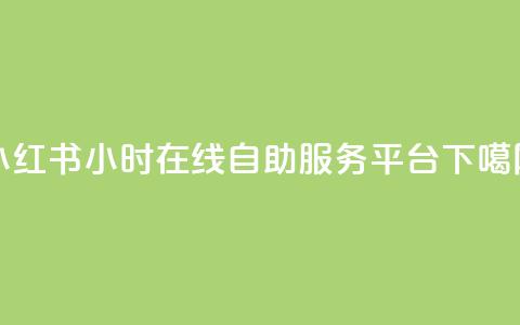 小红书24小时在线自助服务平台  第1张